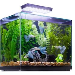 Aquatic Fish Decorations 