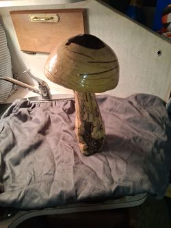 Mushroom Arrangement