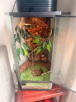 Tank terrarium