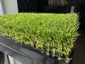 Full 1500 Sq Foot Roll - Rye 86 Turf - Zacate
