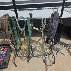 Lyman, belt, black squeeze and secondaries.