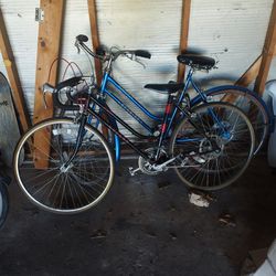 Old School Bikes 