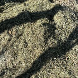 Goat fertilizer