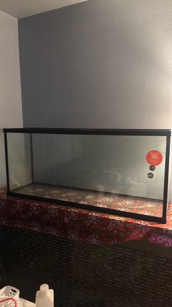 Glass Aquarium Tank with Black Frame