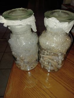 2 Vases