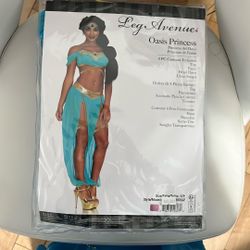Adult Princess Jasmine Costume 