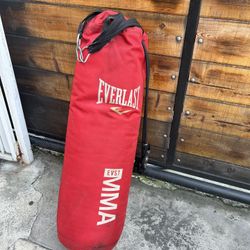 40 Lb Punching Bag