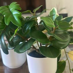 Beautiful Mini Decor Fake Plants 🌱- New!