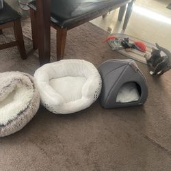 Cat Beds