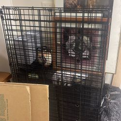 dog cage