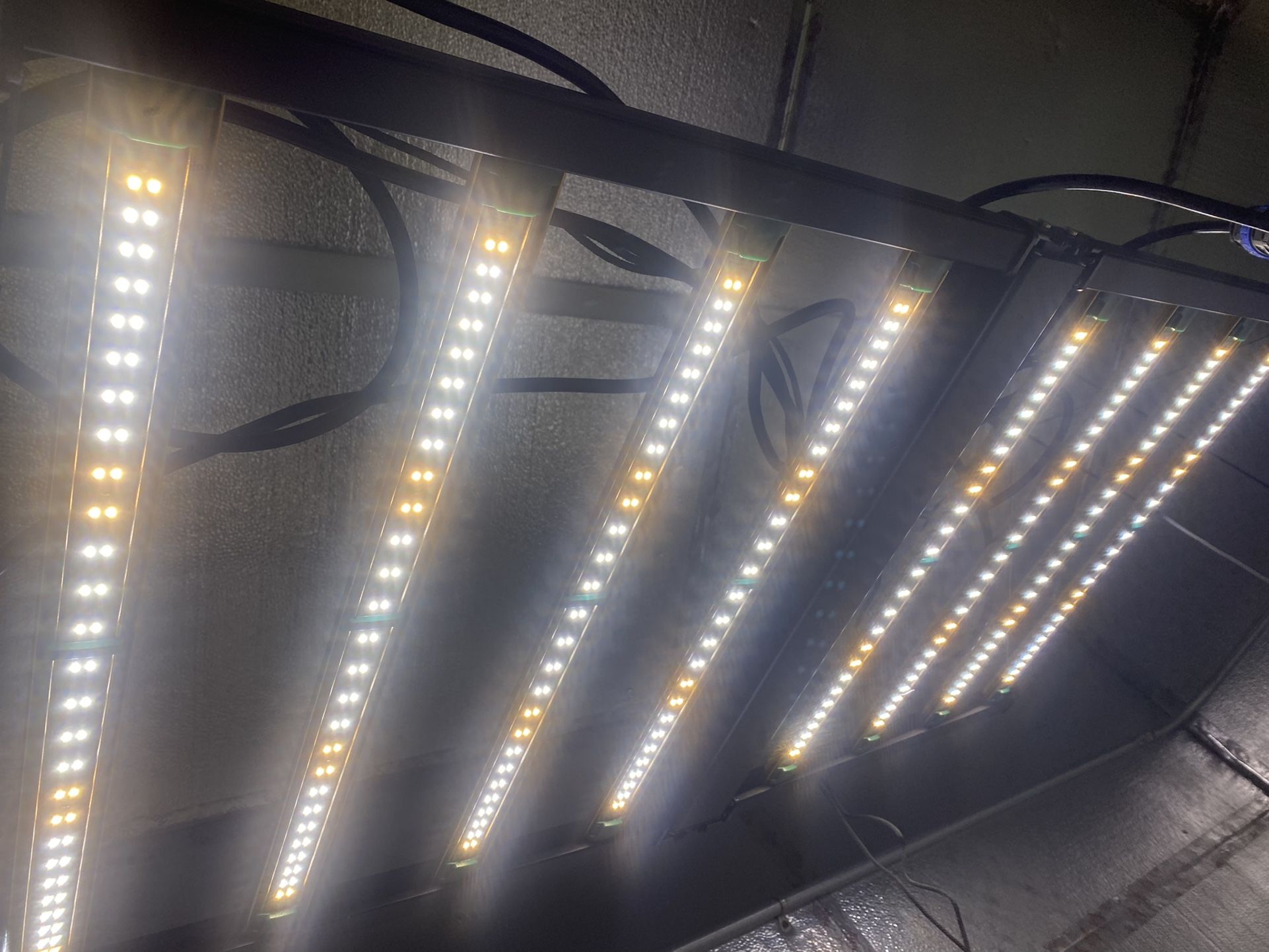 Growers Choice ROI 200 LED