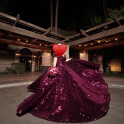 Quinceañera Dress Or Sweet 16 