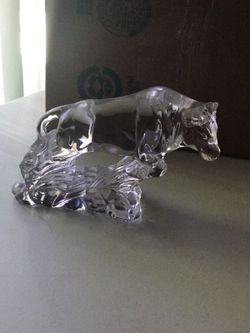 Toro