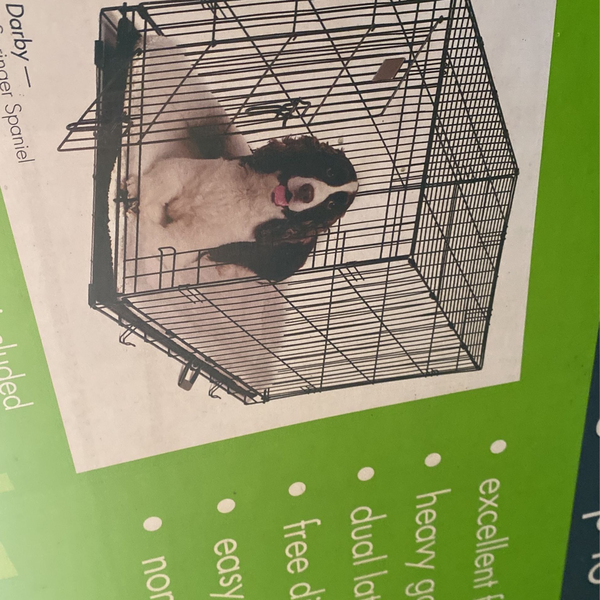New Dog Cage