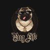 Mr. Pug