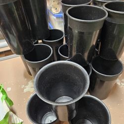 Flower Cooler Buckets