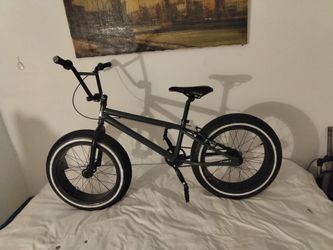 Mongoose   20in.   4 in wide Fat Tire