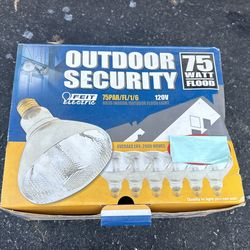 75 Watt Flood Light Bulbs