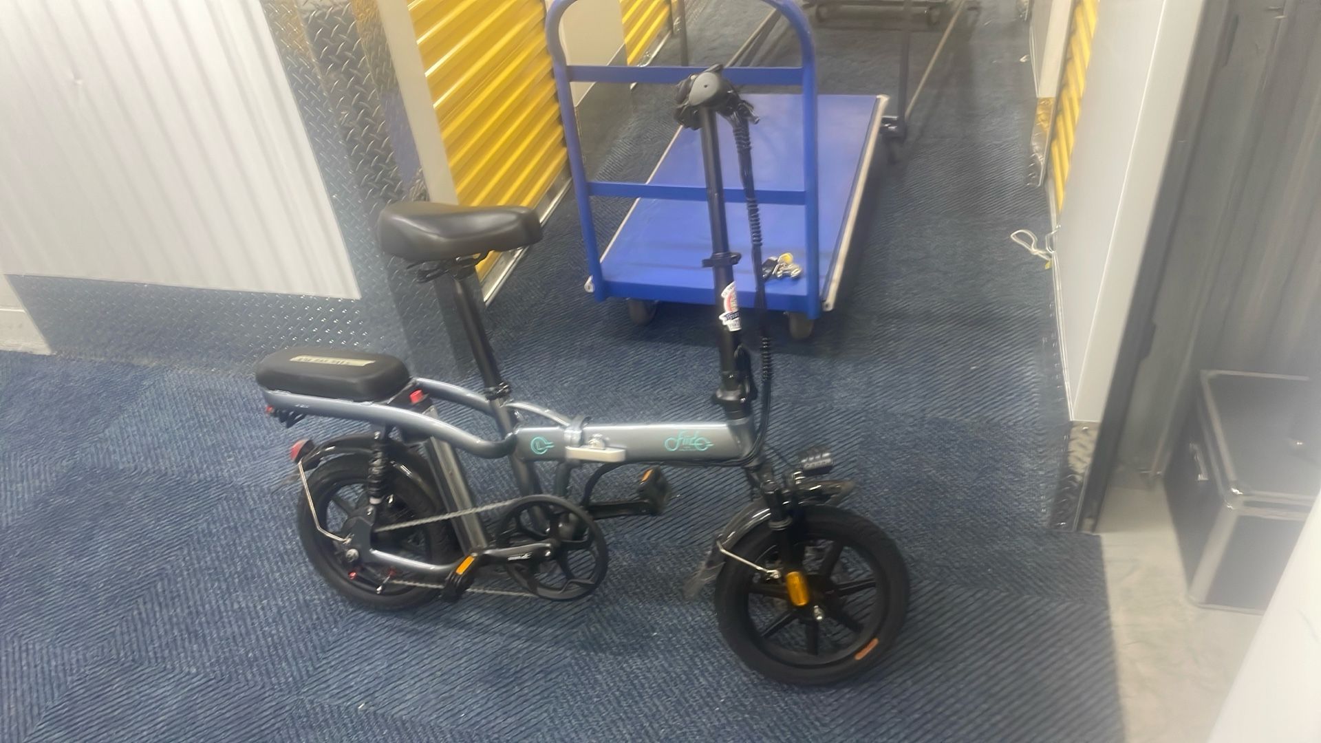 Fiido Bike