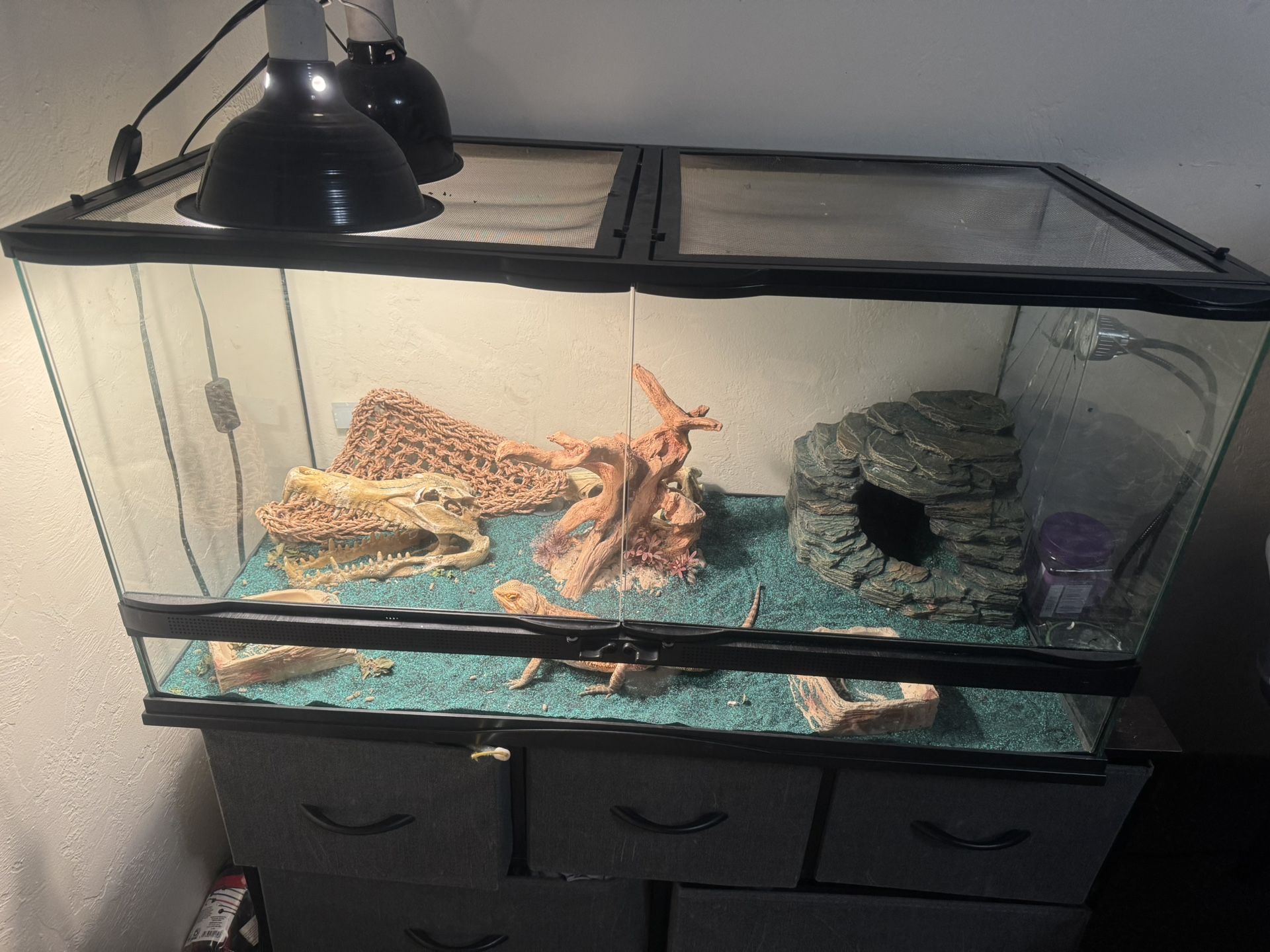 Reptile Tank And Accessories