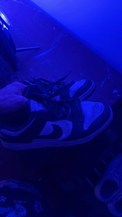 Nike panda dunks size 12 used