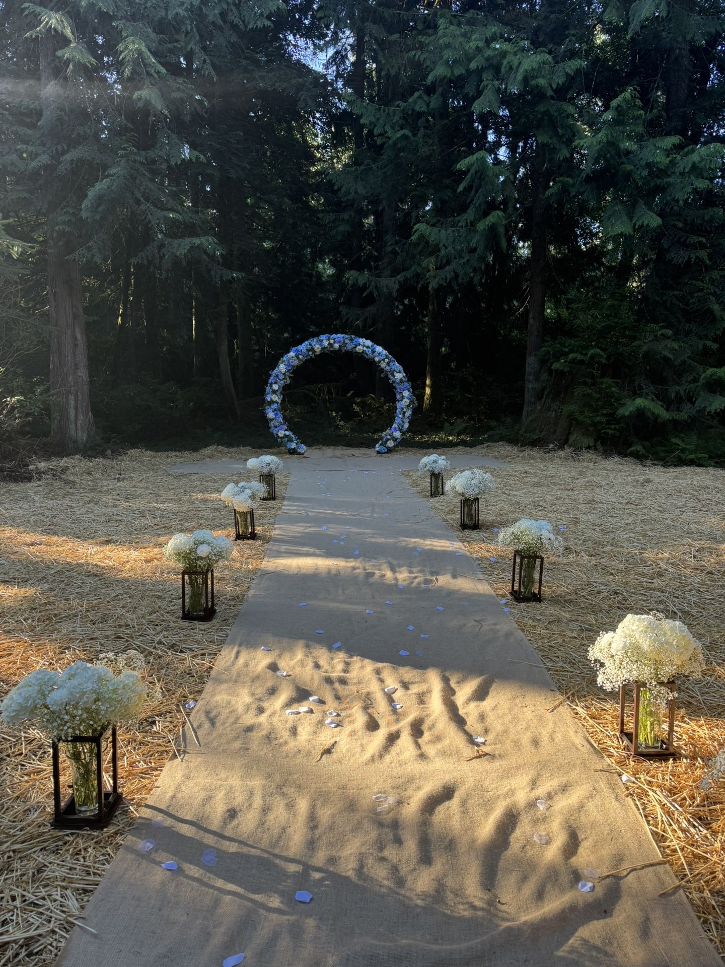 Wedding Arch