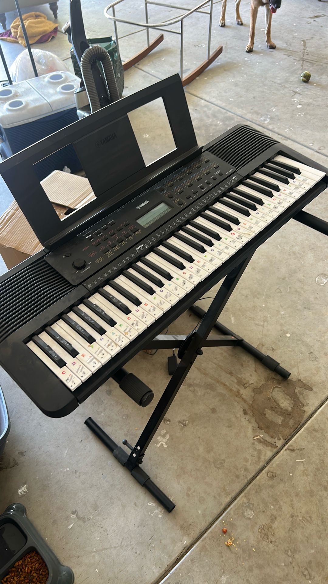 Piano!!!