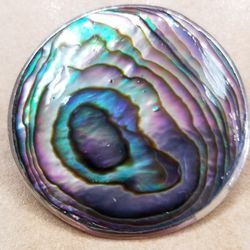 Pin Abalone and Silver