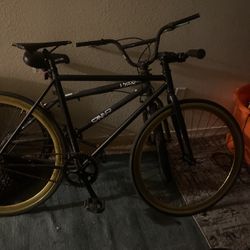 Golden Cycles Fixed Gear