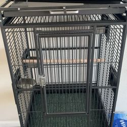 Bird Cage 