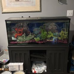 55 Fish Tank Cheap