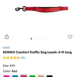 4ft Dog Leash 