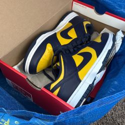 Size 9 Nike Dunk Michigan Used 