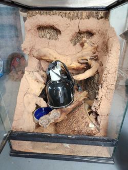 Reptile Habitator Cage