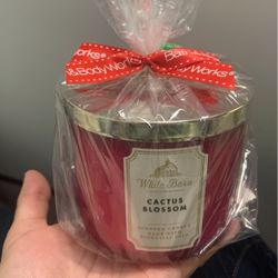 Bath & Body Works Candle  