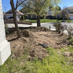 Free Dirt