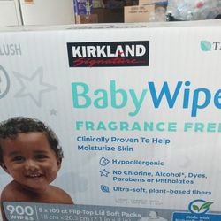 NEW BOX THE WIPES $25