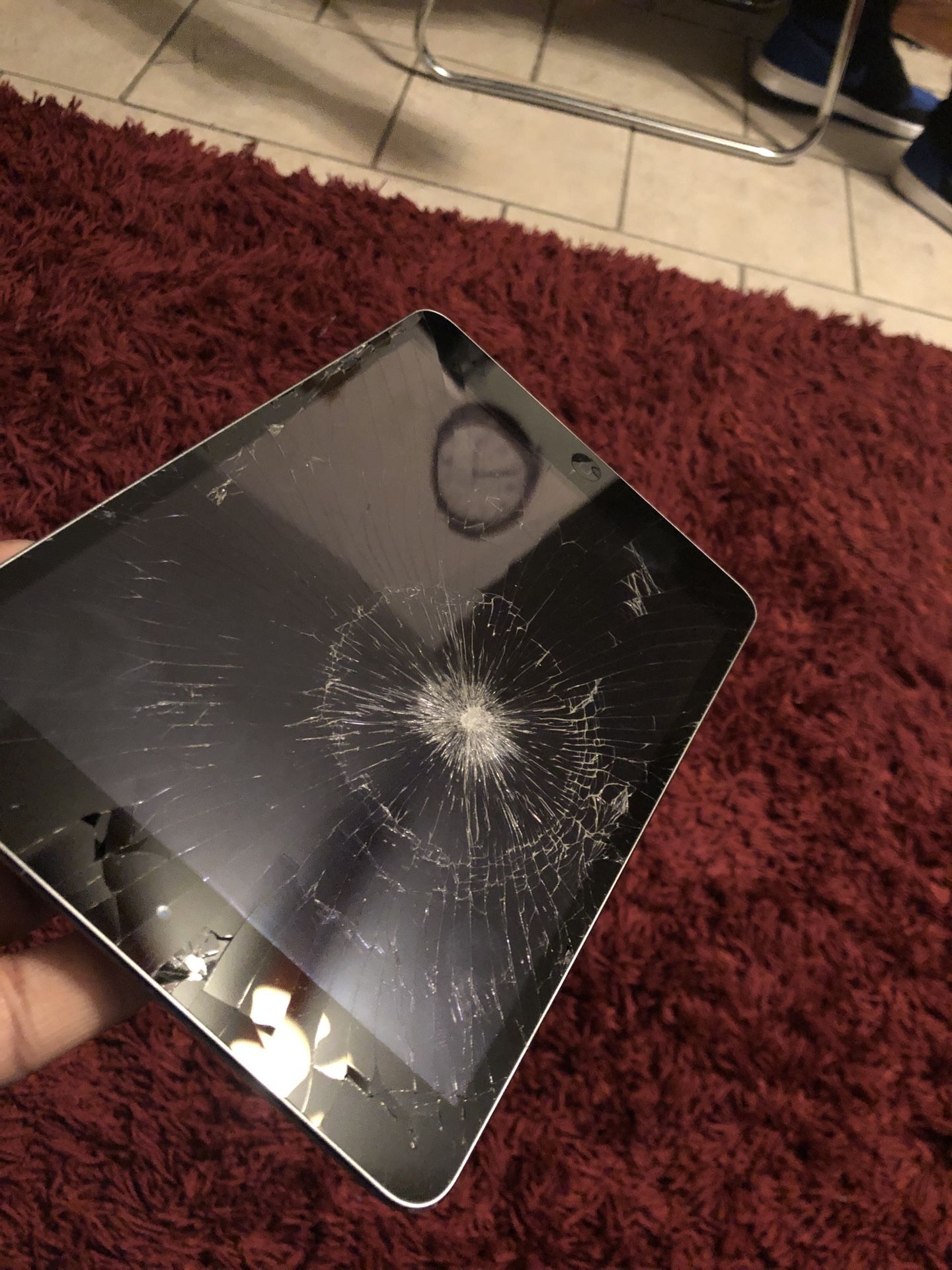 iPad mini 2
