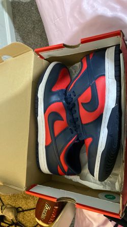 Nike dunks retro