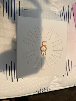 Ugg cleaning care kit
