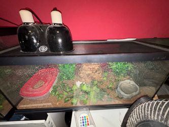 Reptile Tank Cage 20gal
