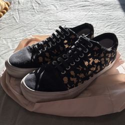 Custom dinosaur vans