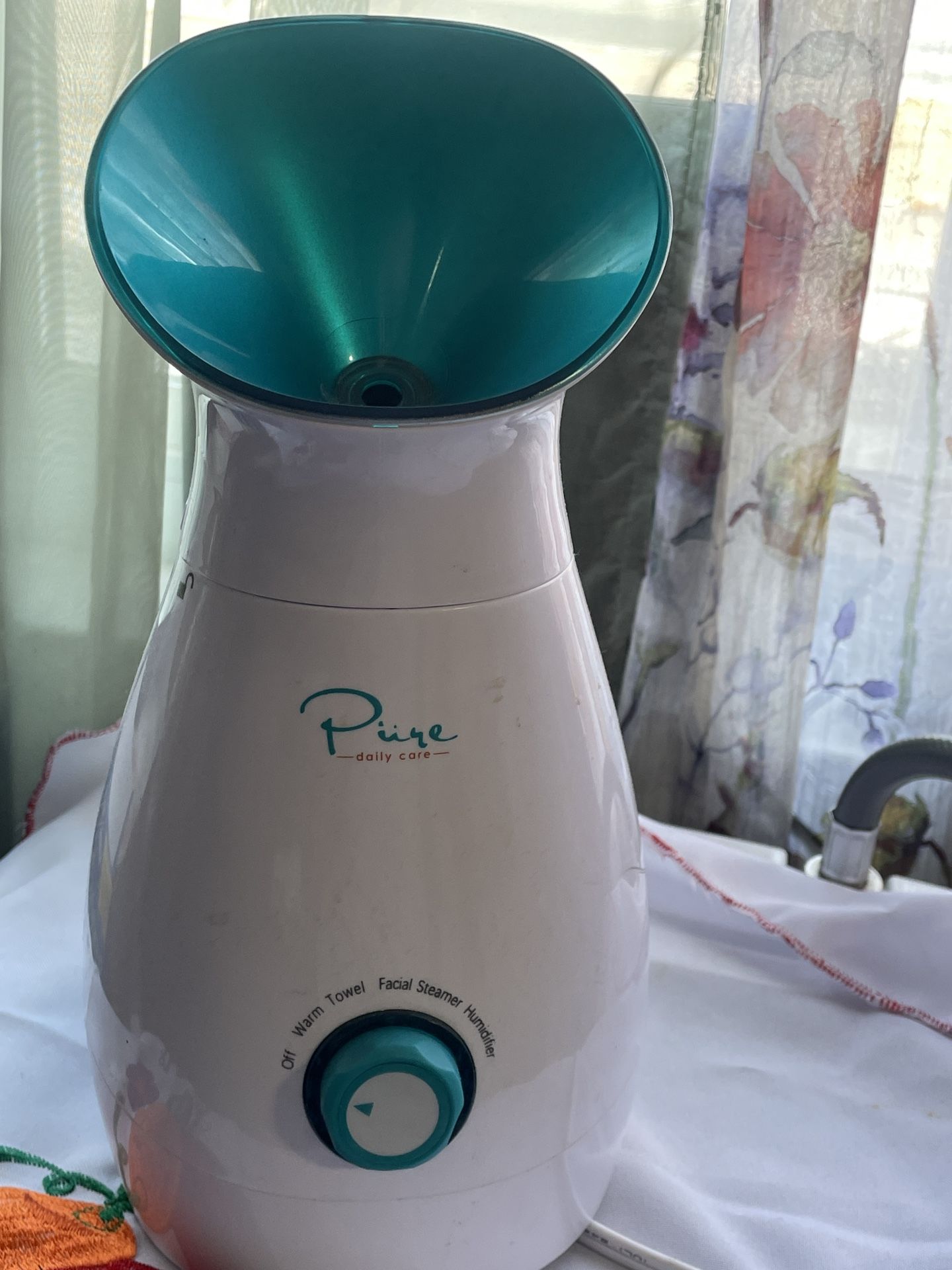 Facial Steamer