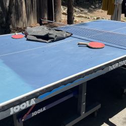 Ping Pong Table 