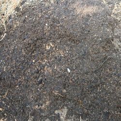 Organic  Growth  Plant Root Stimulator  +++