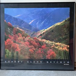 Beautiful Framed Photo