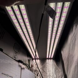 Electric Sky 300/ Spider Farmer Sf2000 