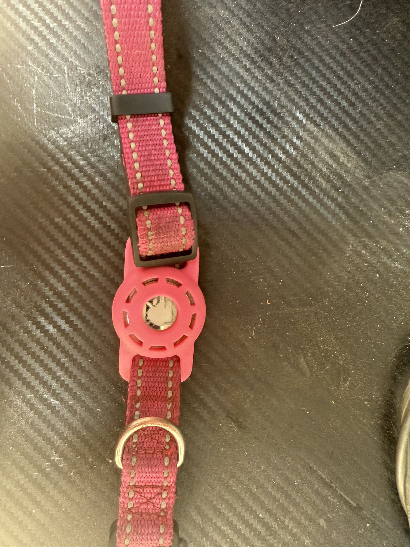 Dog Or Cat Collar