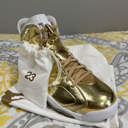 Jordan Pinnacle 6s Brand New Never Tried On