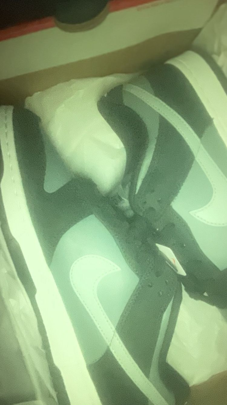 Nike Dunks Low